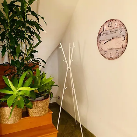 Q-street Studio Apartment